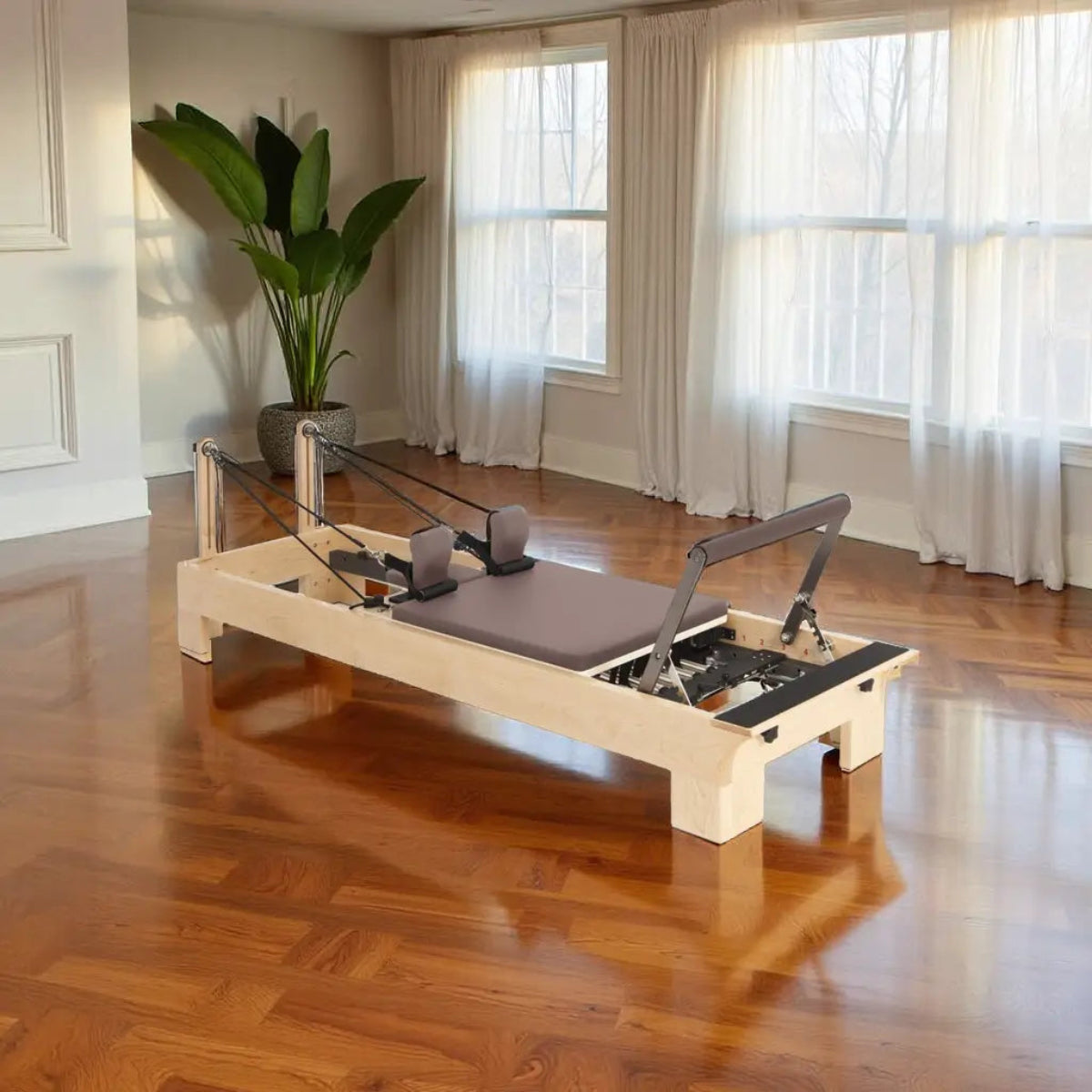 Elina Pilates Wooden Reformer in a sunlit studio with a parquet floor and a large plant